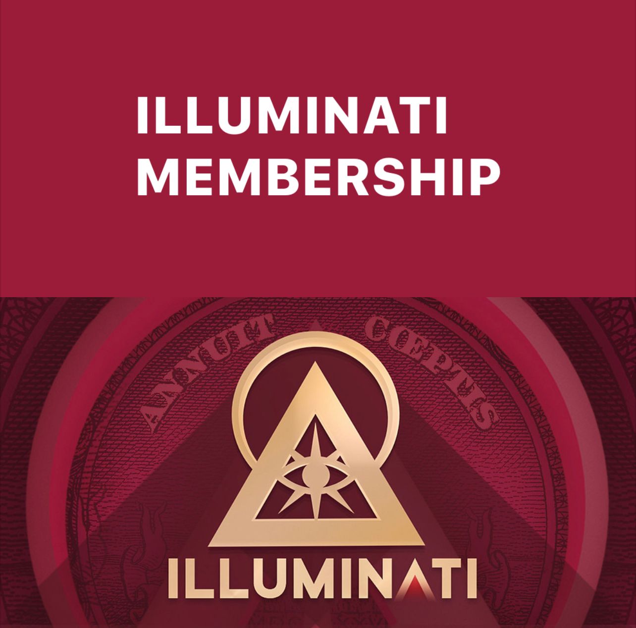 Join illuminati now +4917631490183