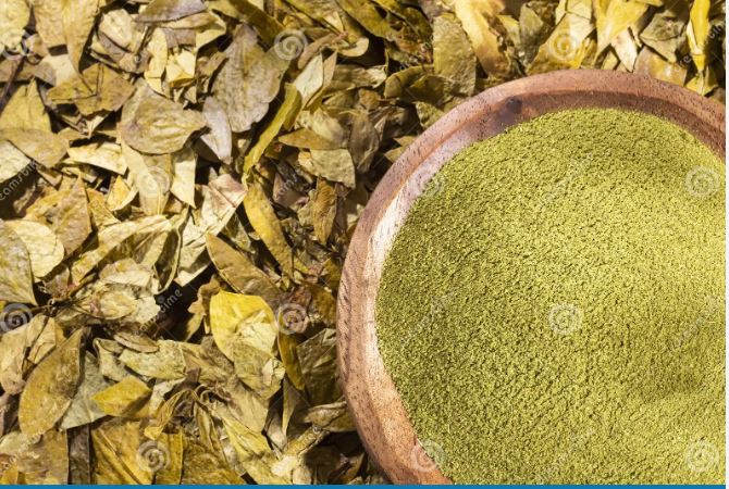 nakupujte semena koky, prkov aj a semena Cannab!s sativa online.