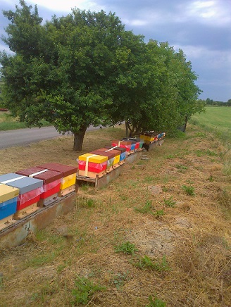 Inzerce 2025 prodej �l� plat� st�le i bez odd�lk� 