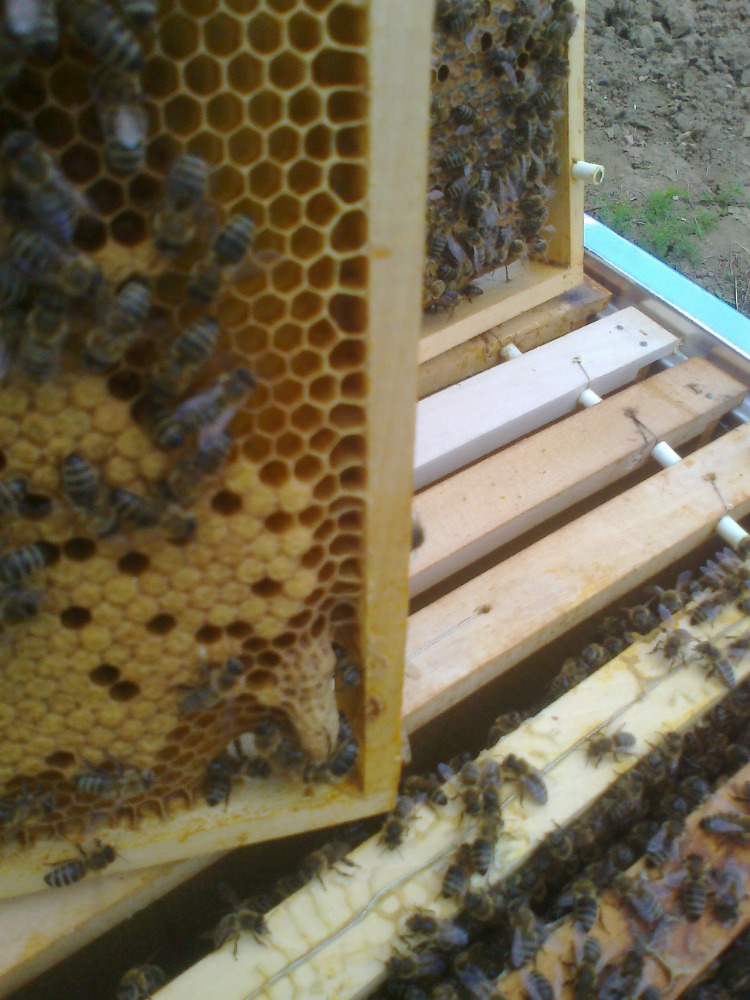 Nástavkové úly nové generace 2019 i se včelstvy