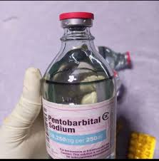 Nembutal Pentobarbital, OxyContin, Iboga, 4-MEC, MDMA, Actavis